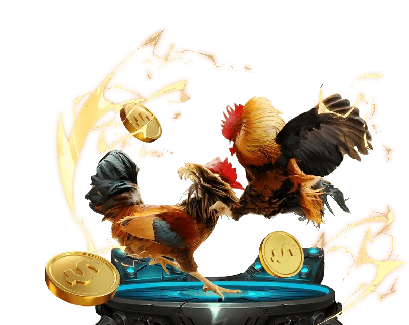 Trải nghiệm cá nhân hóa fun88 zone